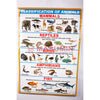 Chart - Classfication Of Animals