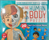 Puzzle - The Human Body