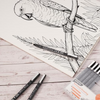 Drawing Pen - 12 Pens Set - EYEYE  - GP10 - Black ink