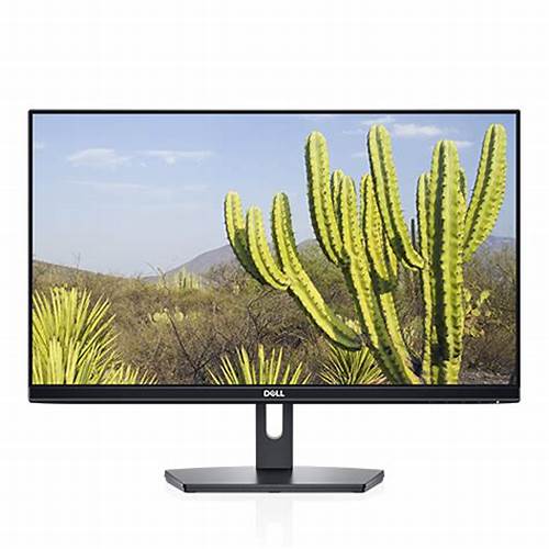 Monitor Screen - 24'' - Dell - SE2422H