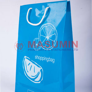 Gift bag shopping  bag