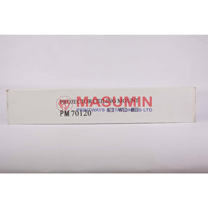 Projector - Ceiling Mount - Big - PM70120