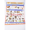 Chart - My Animal (Animals and Birds)