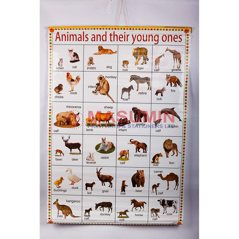 Chart Animal And Their Young Ones Masuminprintways Store Chart Animal And Their Young Ones Masuminprintways Store