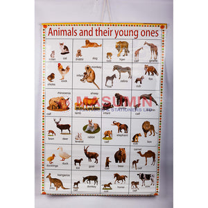 Chart - Animal And Their Young Ones