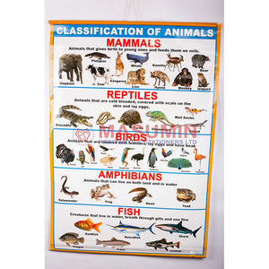 Chart - Classfication Of Animals