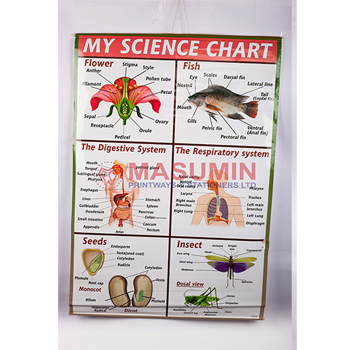 Chart - My Science Chart - Masuminprintways
